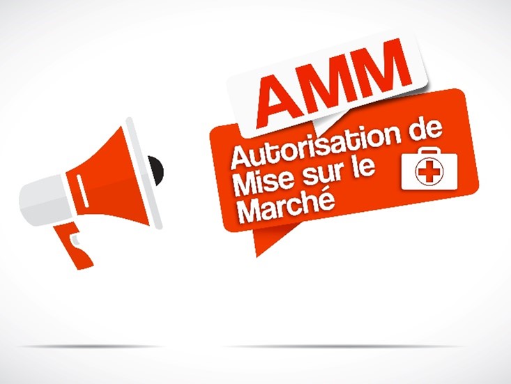 Bloc actualité